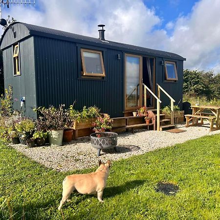 Luxury Shepherd Hut In The Peak District Bakewell Kültér fotó